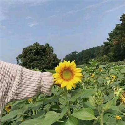 绝战沙场官方手游(暂未上线)v1.0.1 安卓最新版